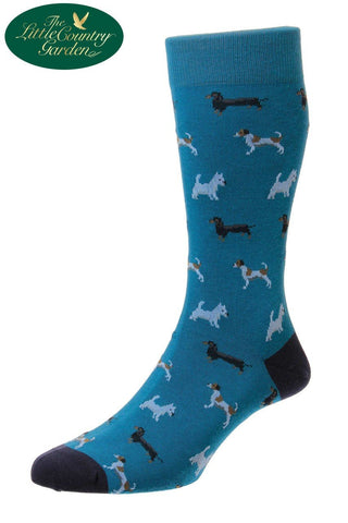 Petrol Blue Scott-Nichol Dog Print socks