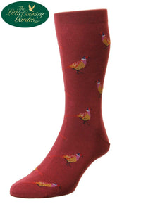 Burgundy Green Scott-Nichol Pheasant socks