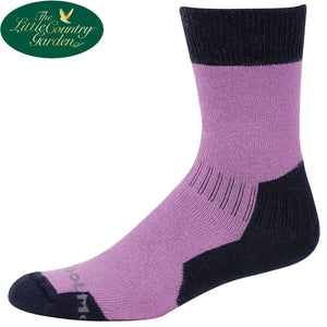 Hoggs of Fife Ladies Coolmax Socks Navy and Lilac